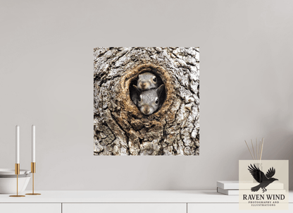 Raven Wind Photography & Illustrations-Curious Peek Fine Art Wildlife Photography Print -