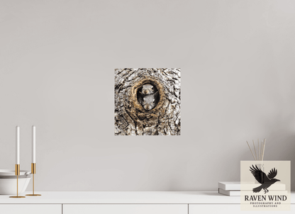 Raven Wind Photography & Illustrations-Curious Peek Fine Art Wildlife Photography Print -