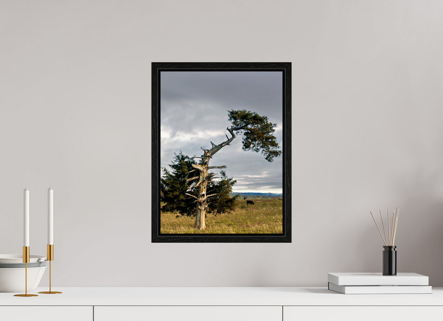12 x 16″, Floater Framed with Black Oak The Cedar That Weathered It All Nature Photography Print