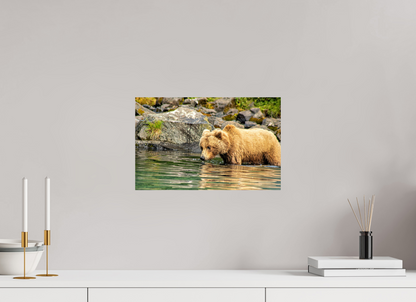 Wild Focus Nature Photography Print