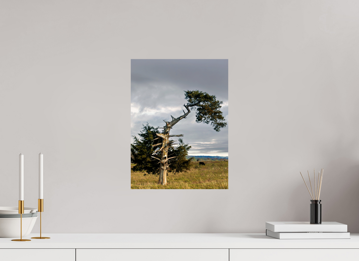 12 x 16″, Fine Art Print on Pearl Texture - unframed (email for framing options) The Cedar That Weathered It All Nature Photography Print