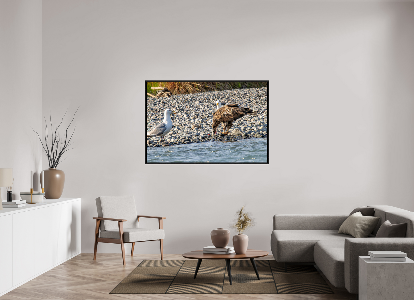 Mine? Mine? – Bald Eagle and Seagull Shoreline Standoff Nature Photography Print