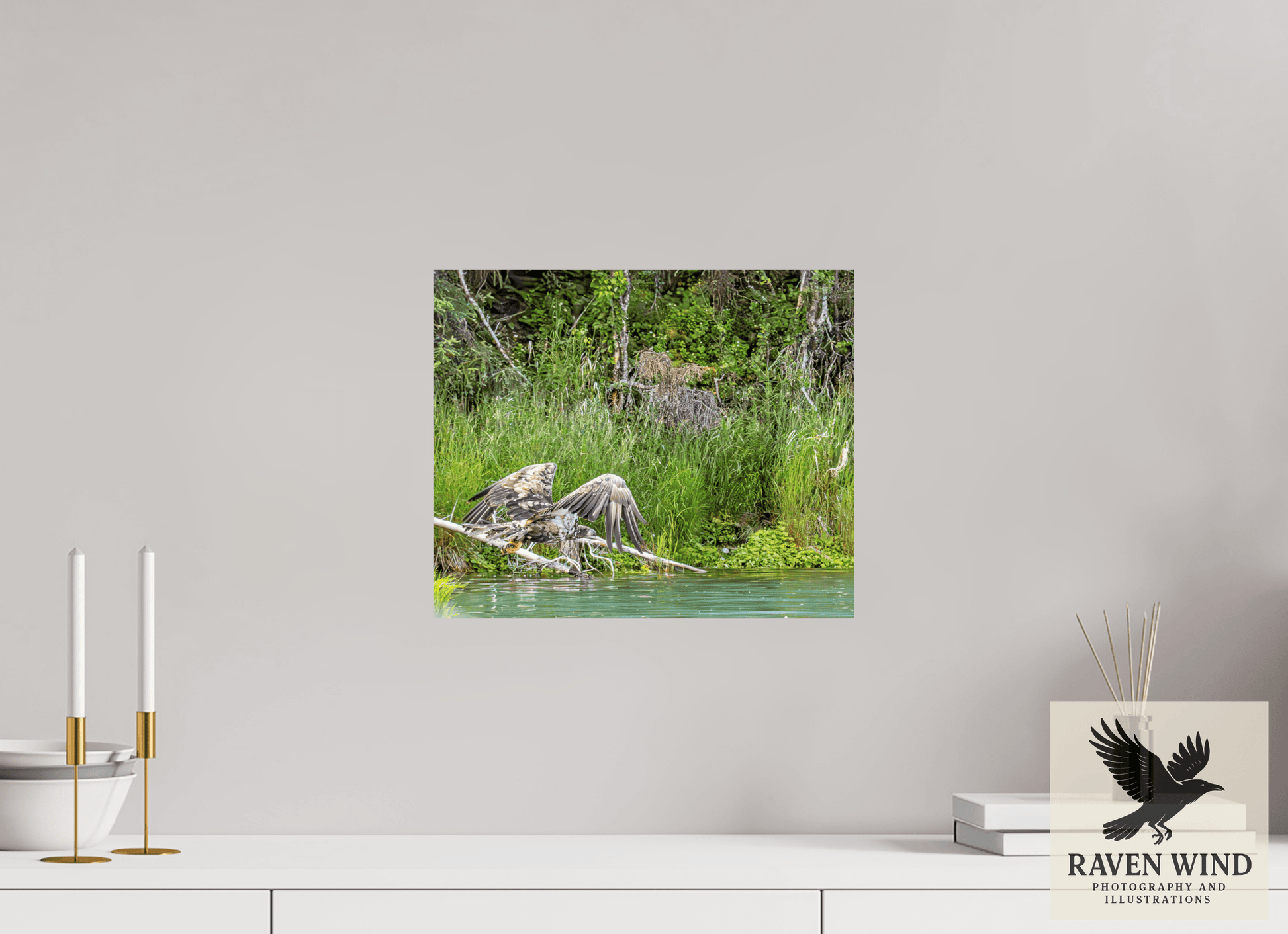 14.5 x 12″, ChromaLuxe HD Metal Print - ready to hang Skimming the Wild - Eagle Over the Kasilof River Nature Photography Print