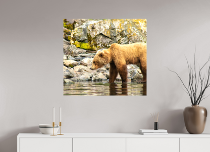 Looking for Dinner Nature Photography Print