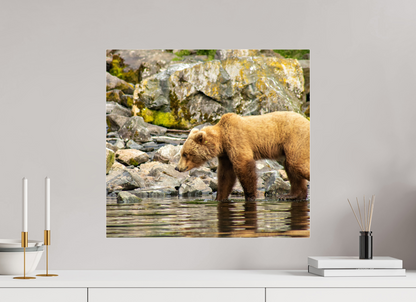 Looking for Dinner Nature Photography Print