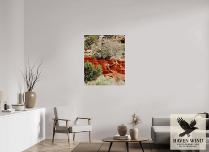 32 x 39.4″, Fine Art Print on Photo Rag Baryta - unframed (email for frame options) Resilient Roots Nature Photography Print