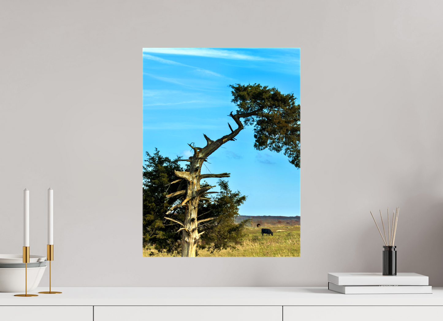 15 x 20″, Print on Canvas Still Standing and Reaching for the Sky Nature Photography Print
