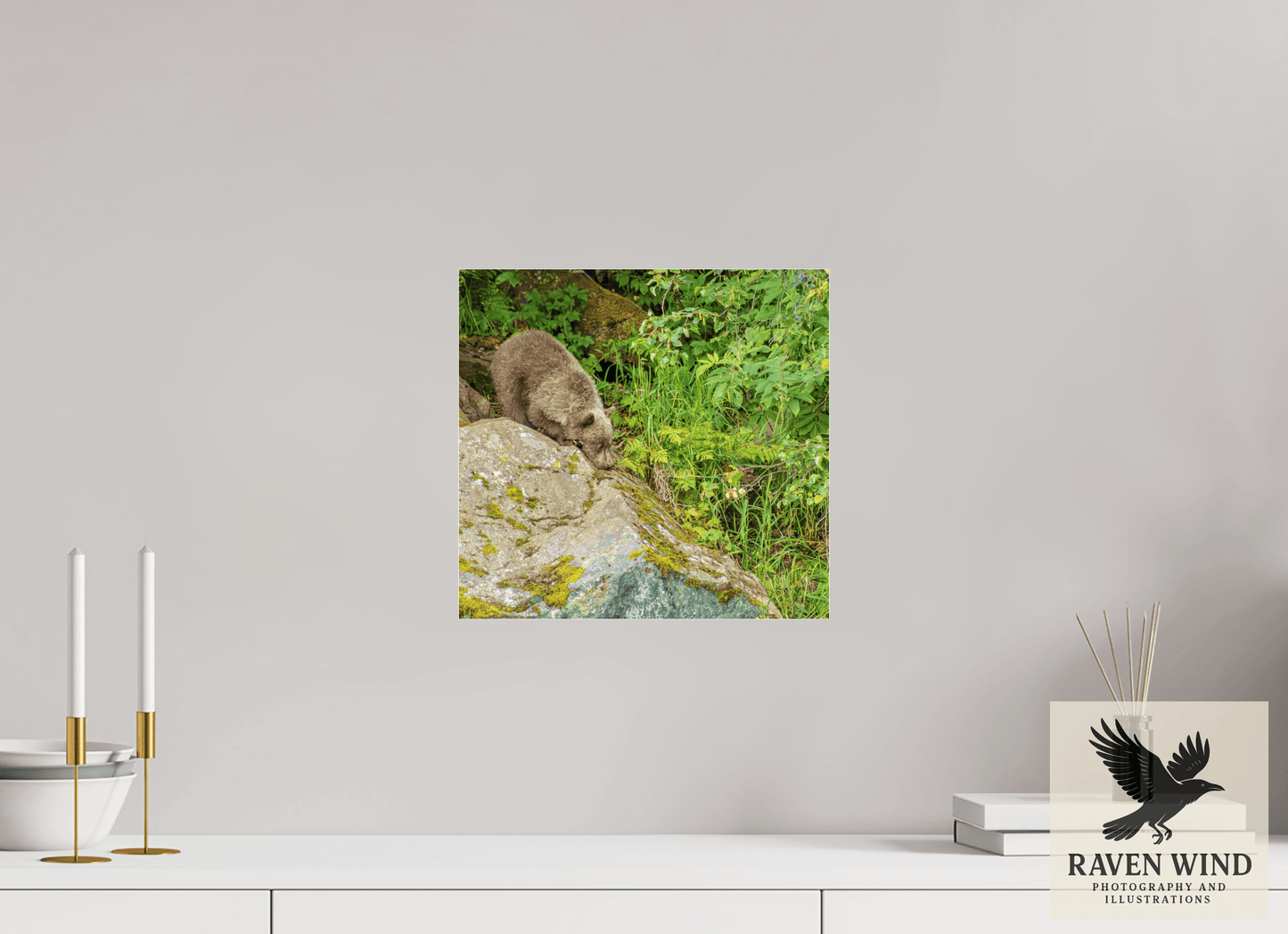 12.7 x 12″, Photo Print Under Acrylic Glass - ready to hang Learning the Ropes Nature Photography Print