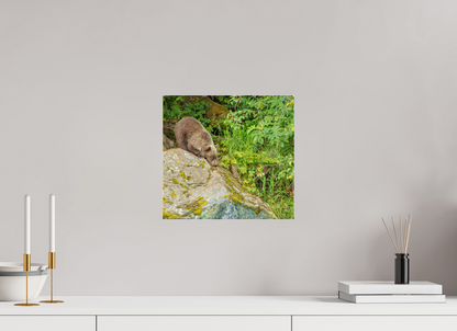 Learning the Ropes Nature Photography Print