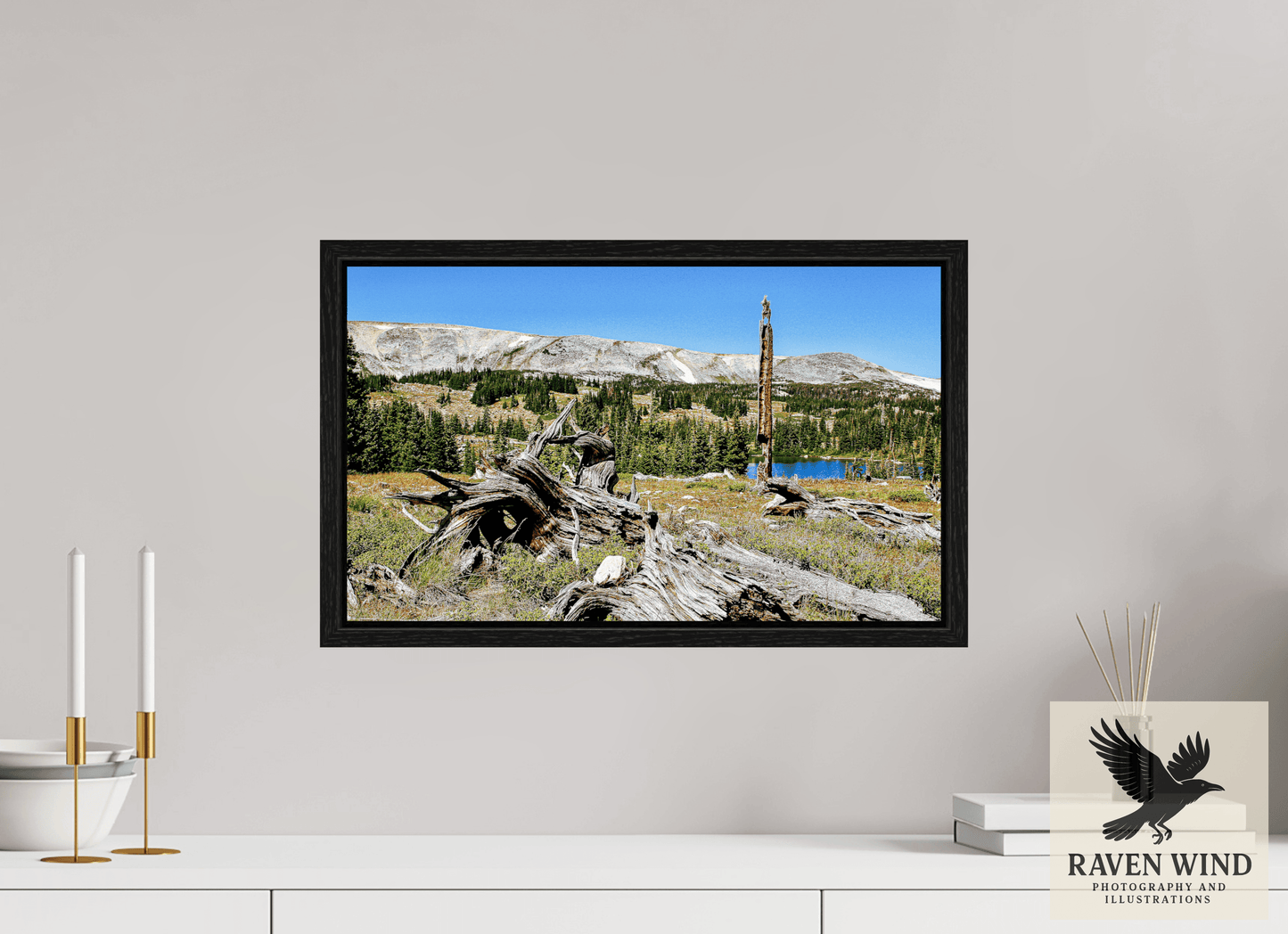 20.1 x 12″, Floater Frame -black oak frame - ready to hang Standing Bear Tree - Bear Lake, Colorado Nature Photography Print