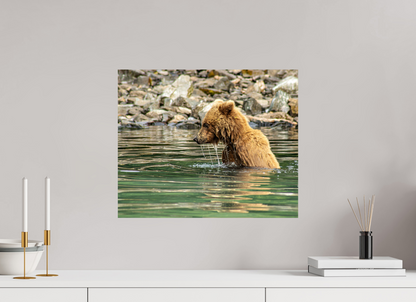 Eye on the Prize Nature Photography Print