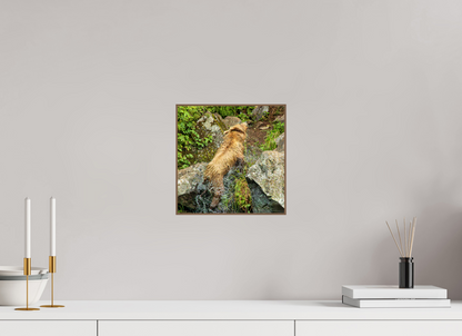 The Shake Nature Photography Print