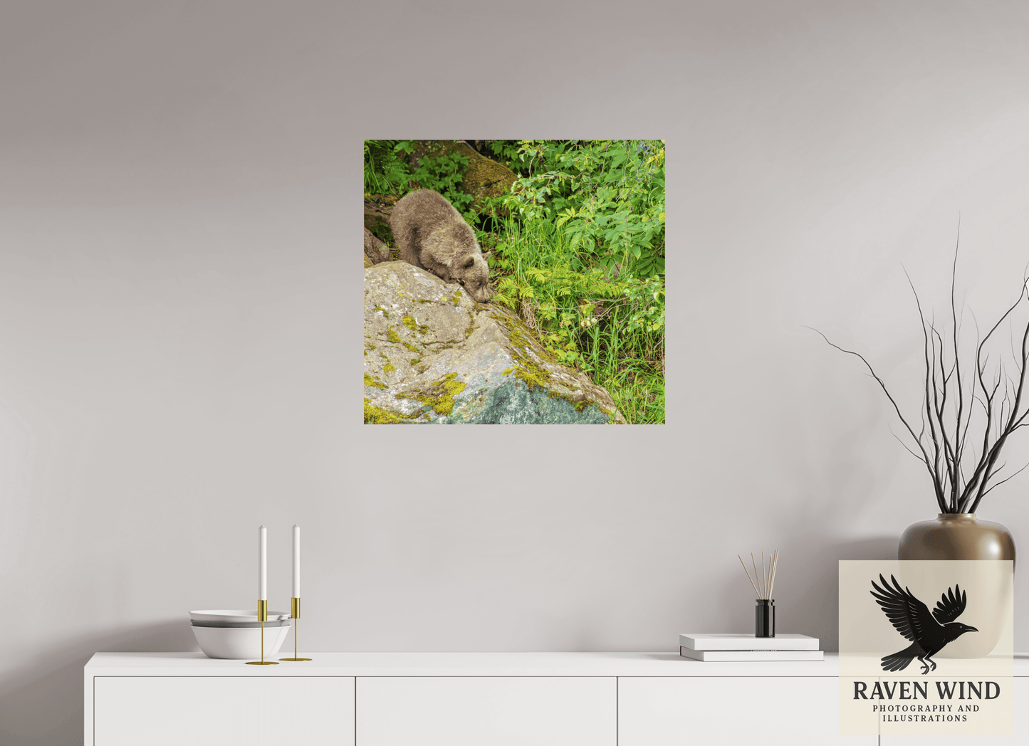 25.4 x 24″, ChromaLuxe HD Metal Print - ready to hang Learning the Ropes Nature Photography Print