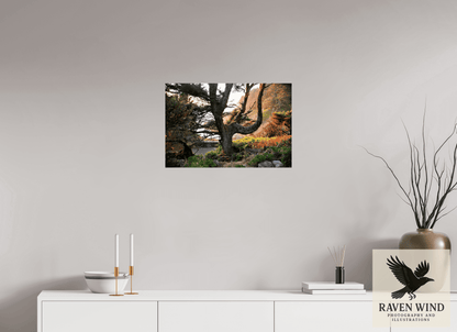 24 x 16″, Photo Print Under Acrylic Glass - ready to hang Sunset Glow Fine Art Nature Photography Print