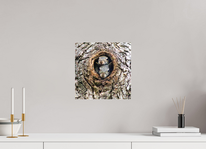 Curious Peek Nature Photography Print