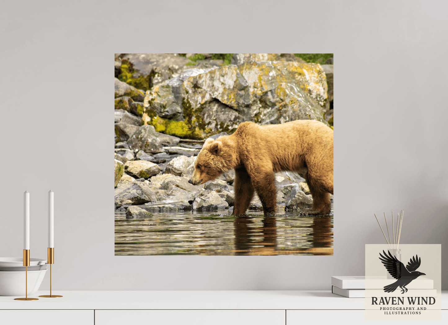 21.7 x 20″, ChromaLuxe HD Metal Print - ready to hang Looking for Dinner Nature Photography Print