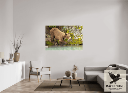 60 x 40″, Photo Print Under Acrylic Glass - ready to hang Testing the Waters Nature Photography Print