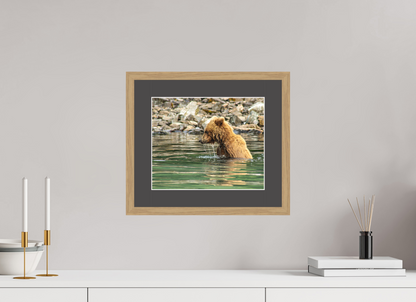 Eye on the Prize Nature Photography Print