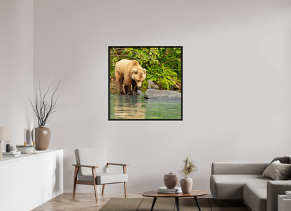 That's a miss! Nature Photography Print