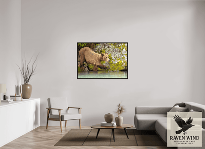 49.7 x 35″, Floater Frame - black oak frame - ready to hang Momma on a Mission Nature Photography Print
