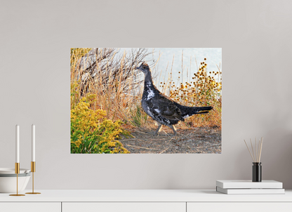 Grounded Grace – Fine Art Print of a Wild Grouse