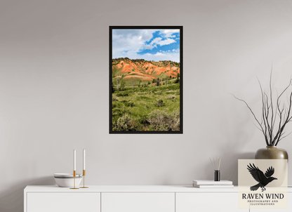 20 x 30″, Floater Frame - black oak frame - ready to hang Salmon Hills Nature Photography Print