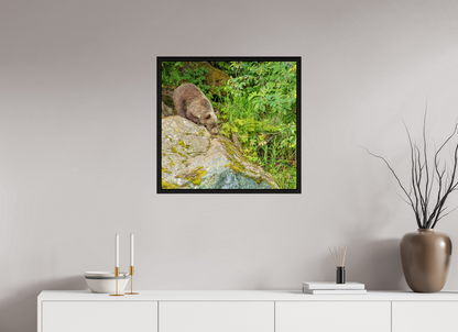 Learning the Ropes Nature Photography Print