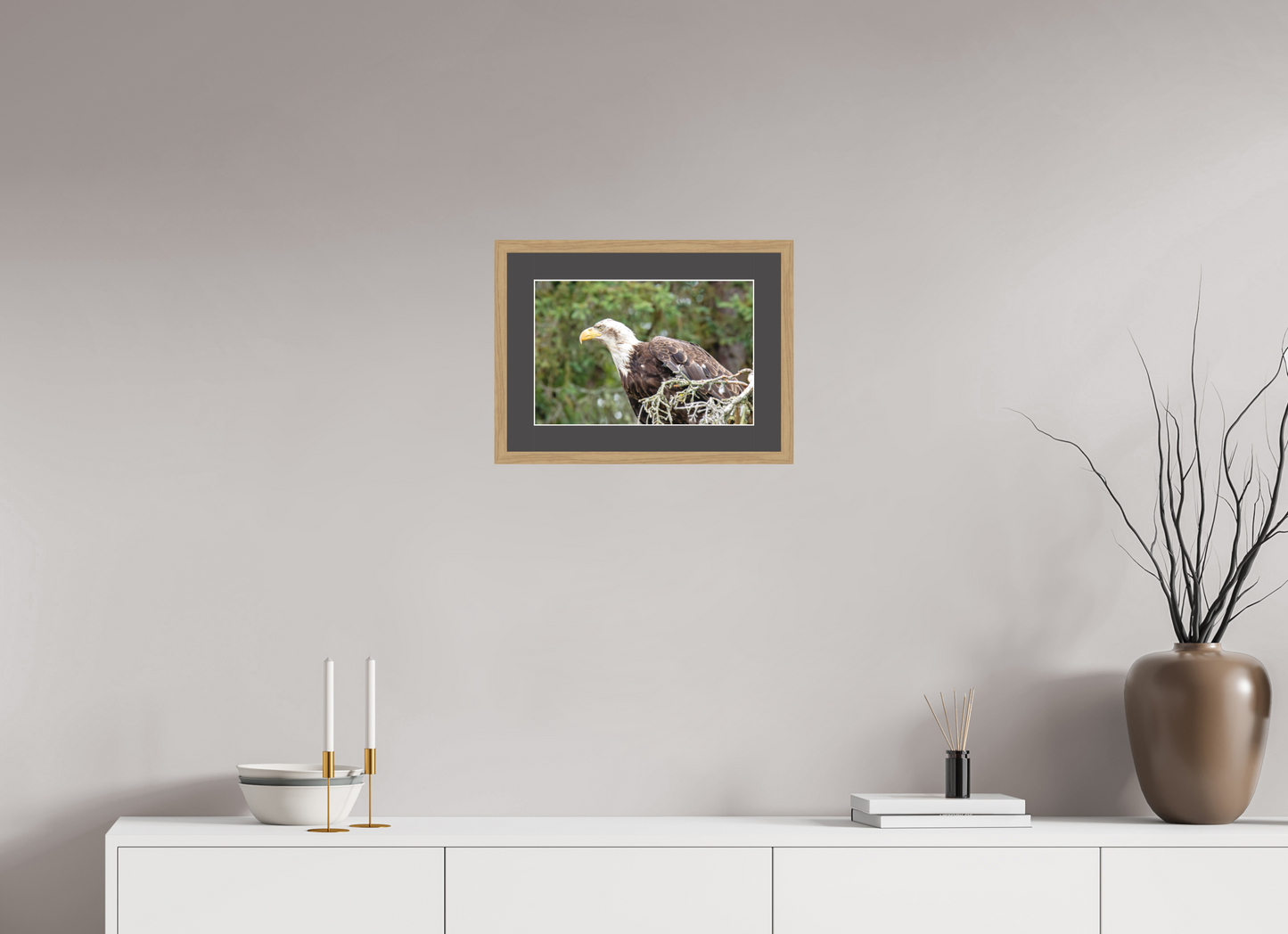 Majestic Watch – Bald Eagle on the Kenai Peninsula Nature Photography Print