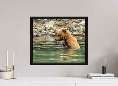 Eye on the Prize Nature Photography Print