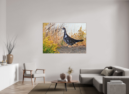Grounded Grace – Fine Art Print of a Wild Grouse
