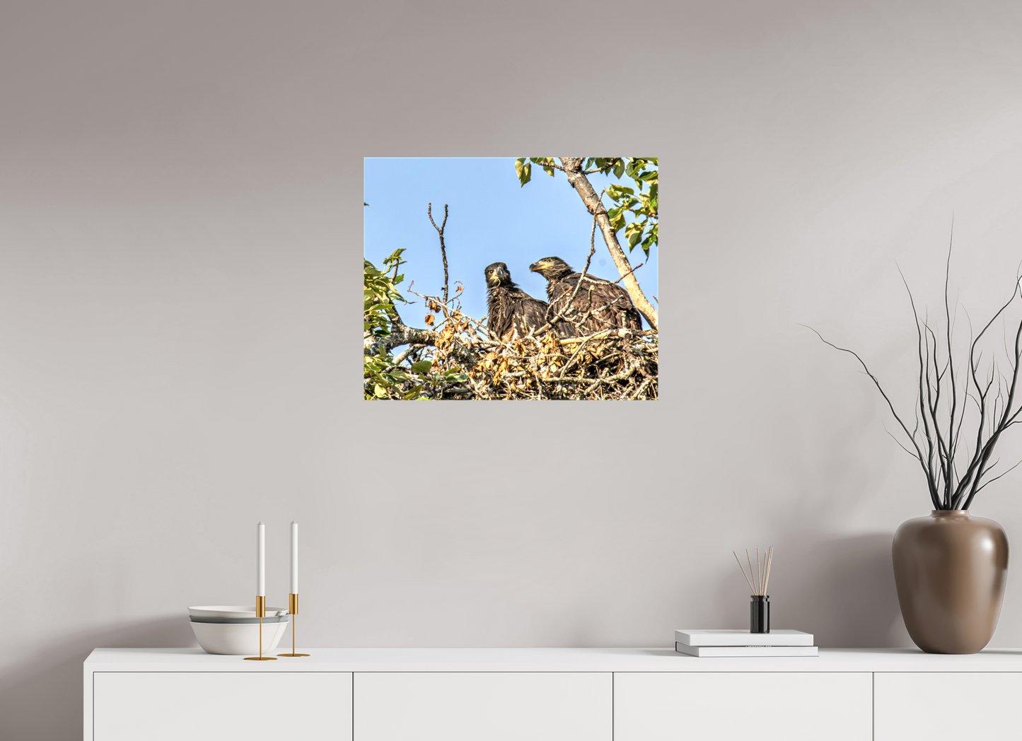 Nestmates – Young Eagles in a Woodland Home – Nature Photography Print