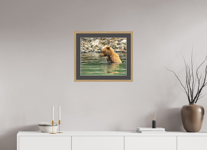 Eye on the Prize Nature Photography Print
