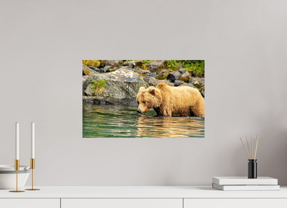 Wild Focus Nature Photography Print