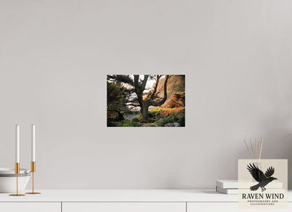 12 x 8″, Photo Print On Fuji Crystal DP II - unframed Sunset Glow Fine Art Nature Photography Print