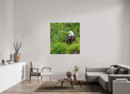 Grounded Majesty – Bald Eagle in Alaska’s Wilderness Nature Photography Print