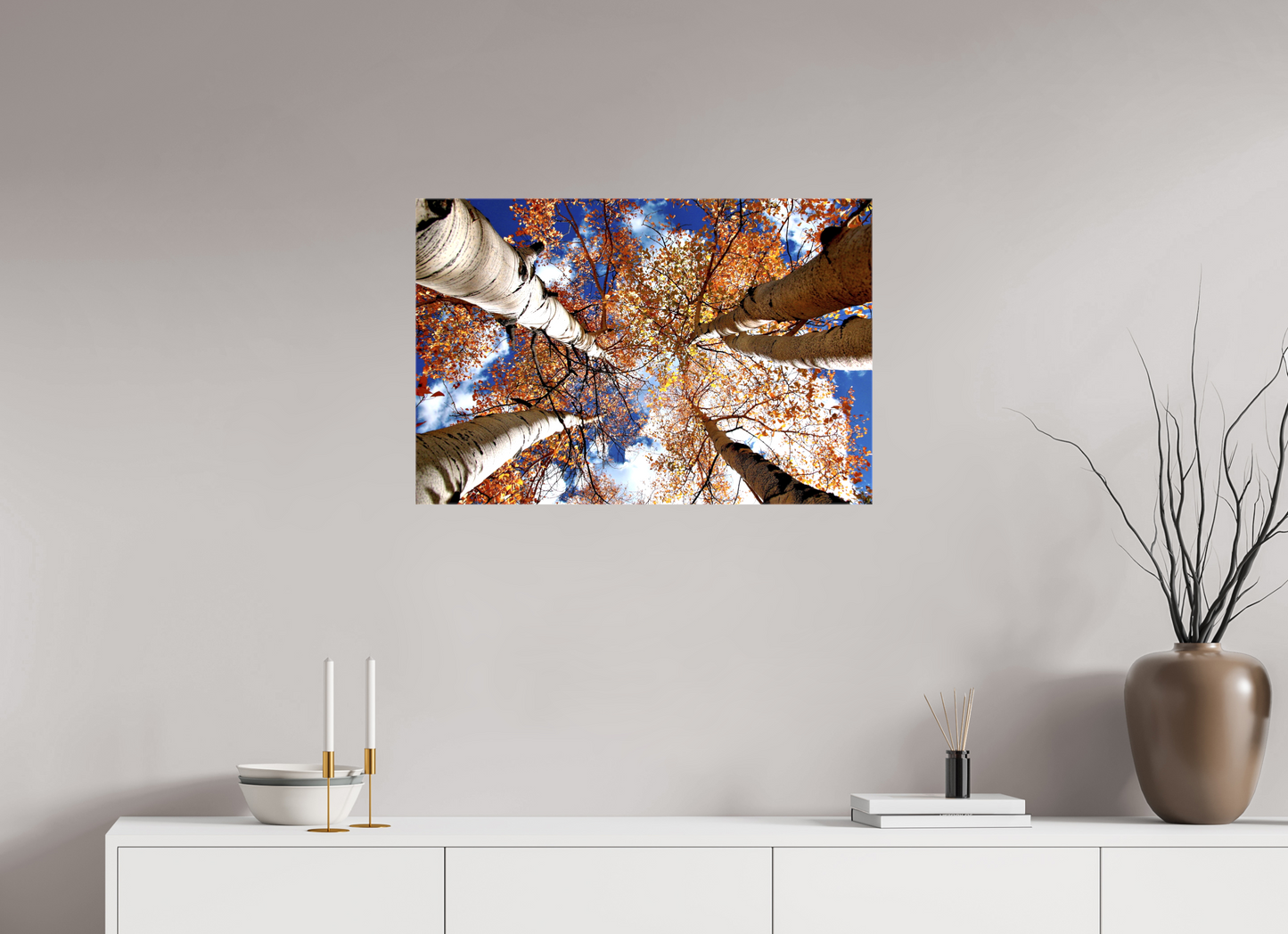 Reaching for the Sky – Where Aspens Whisper to the Clouds Nature Photography Print