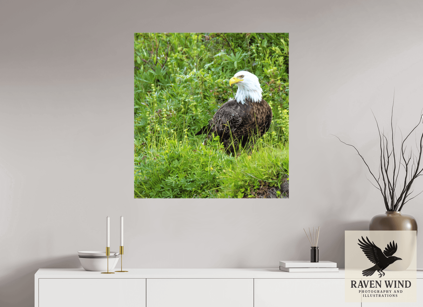 31 x 33.1″, Print on Canvas - ready to hang or set on a shelf Grounded Majesty - Alaskan Bald Eagle Nature Photography Print