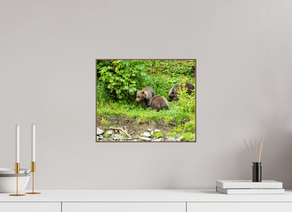 Brown Bear Triplets