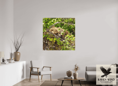 45 x 45″, Photo Print On Fuji Crystal DP II - unframed Hide and Peek Nature Photography Print