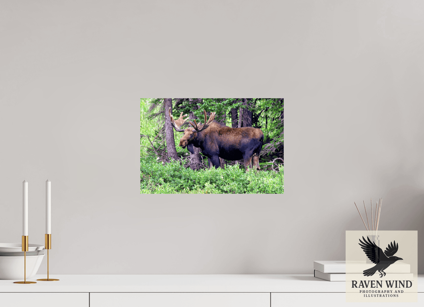 15 x 10″, ChromaLuxe HD Metal Print -ready to hang Watchful Moose Nature Photography Print