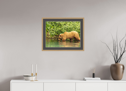 Fishing Takes Patience Nature Photography Print