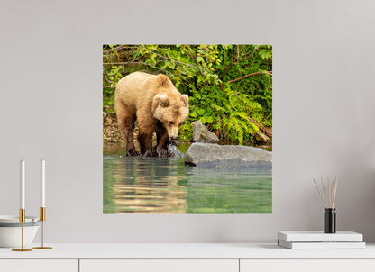 That's a miss! Nature Photography Print