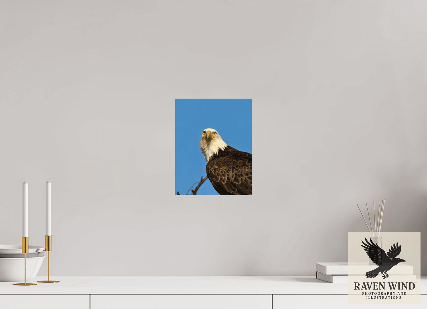 8 x 10″, ChromaLuxe HD Metal Print - ready to hang Eyes of the Wild - Bald Eagle in Alaska Nature Photography Print