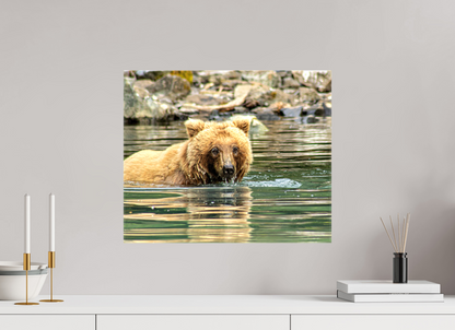 Fishing the Deep End Nature Photography Print