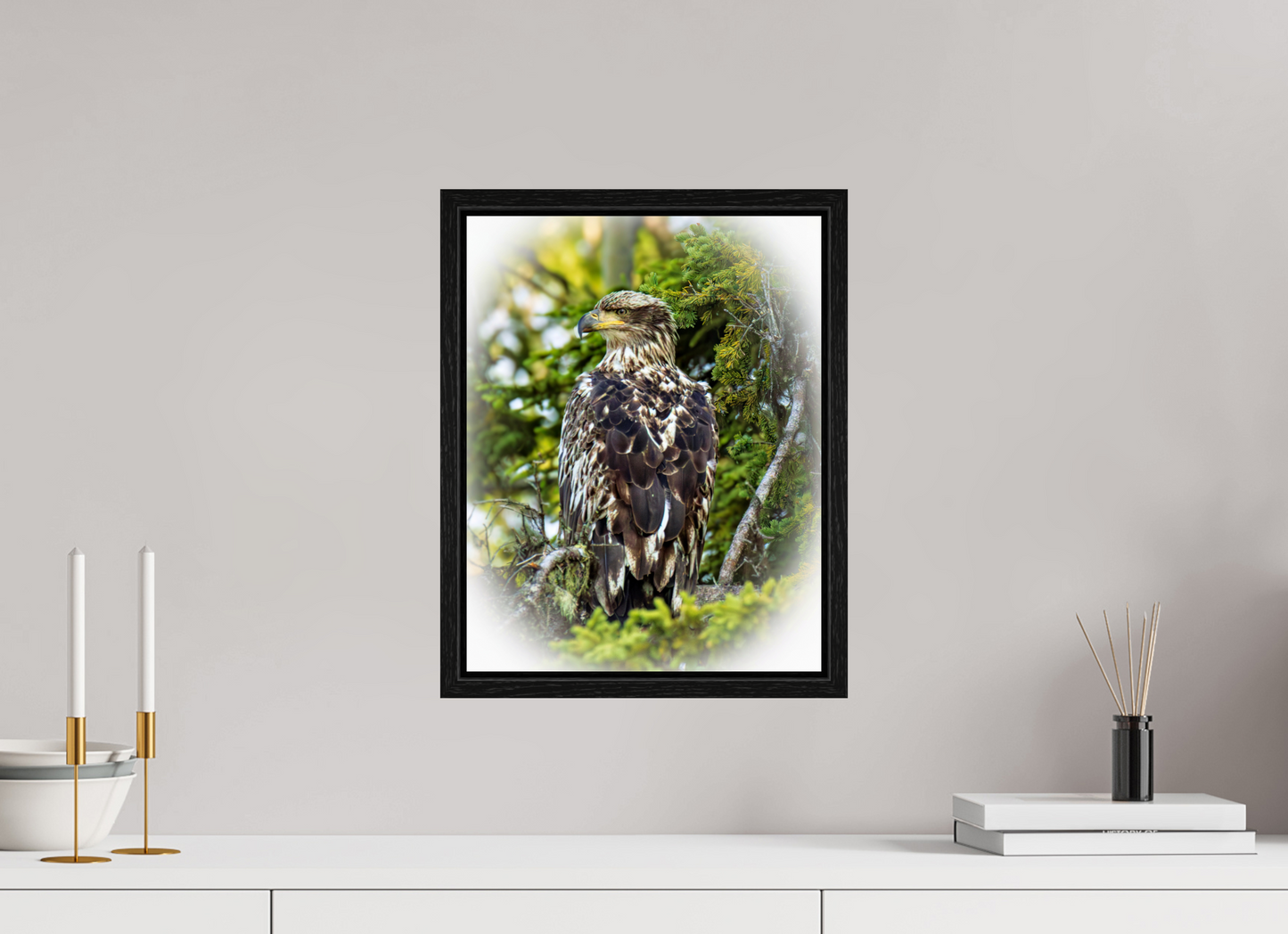 Forest Watch – Young Eagle Among the Pines Nature Photography Print
