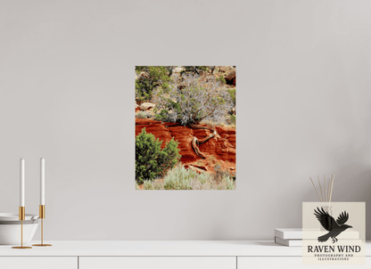 12 x 14.8″, ChromaLuxe HD Metal Print - ready to hang Resilient Roots Nature Photography Print