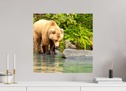 That's a miss! Nature Photography Print