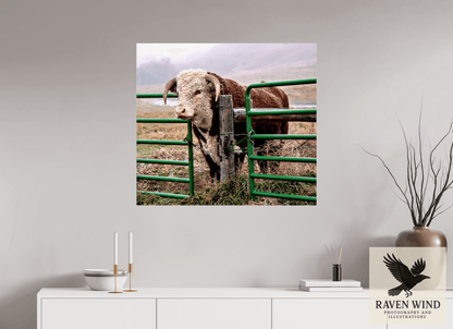 34.4 x 31″, Print Under Acrylic Glass - Ready to hang - not framed The Honor System Nature Photography Print