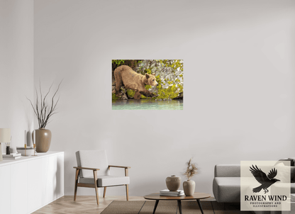 39.8 x 28″, Photo Print On Fuji Crystal DP II - unframed Momma on a Mission Nature Photography Print