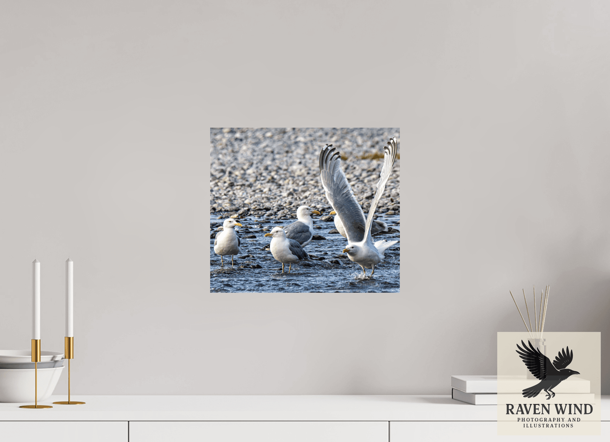 13.8 x 12″, ChromaLuxe HD Metal Print - ready to hang Wings in Motion - Seagulls on the Kasilof River, Alaska Nature Photography Print